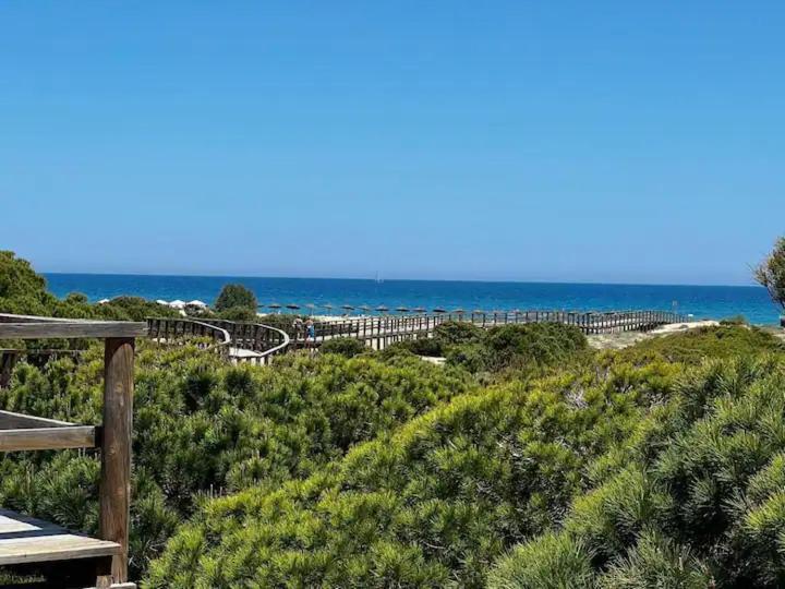 Casa Canarias En Alicante, Playa Y Piscina Gran Alacant Dış mekan fotoğraf